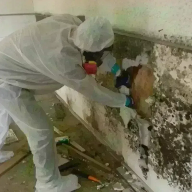 Mold Remediation and Removal in Fitchburg, MA