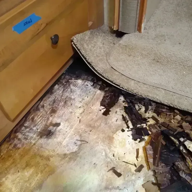 Best Wood Floor Water Damage Service in Fitchburg, MA